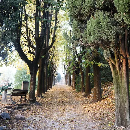 Lägenhet Casa Monia Lonato